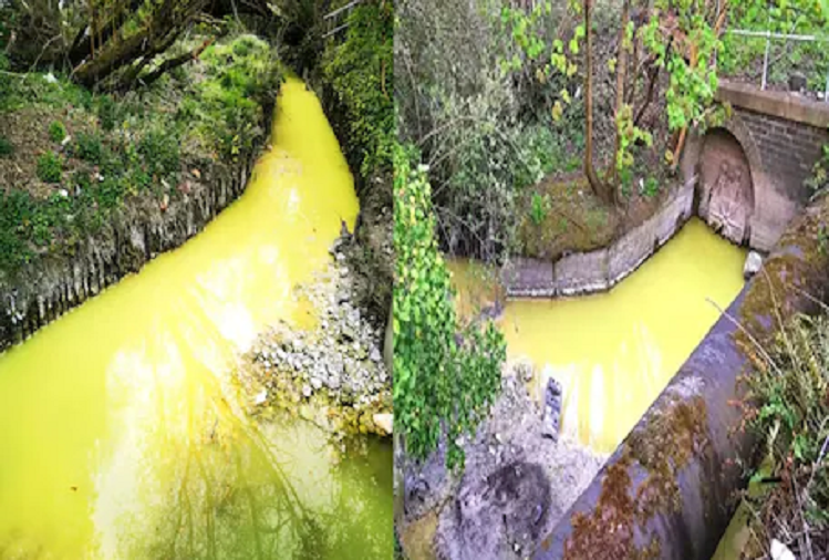 देखते ही देखते पीले रंग में बदल गया नदी का पानी, लोग समझे चमत्कार लेकिन बाद में हुआ ऐसा खुलासा कि उड़ गए सबके होश