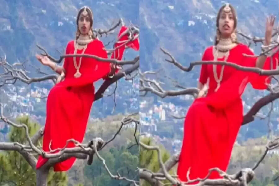dd