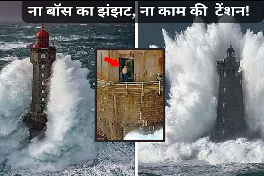 dd