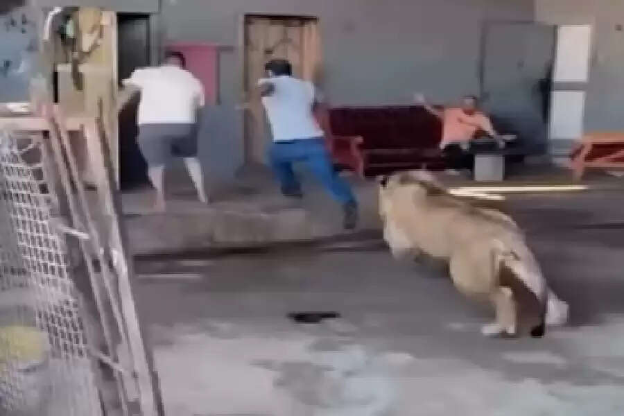SS