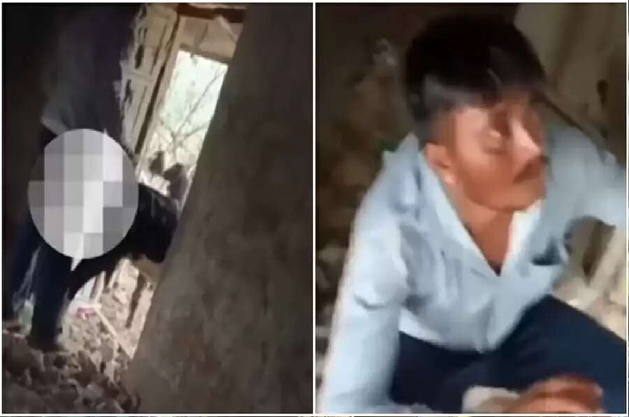 dd