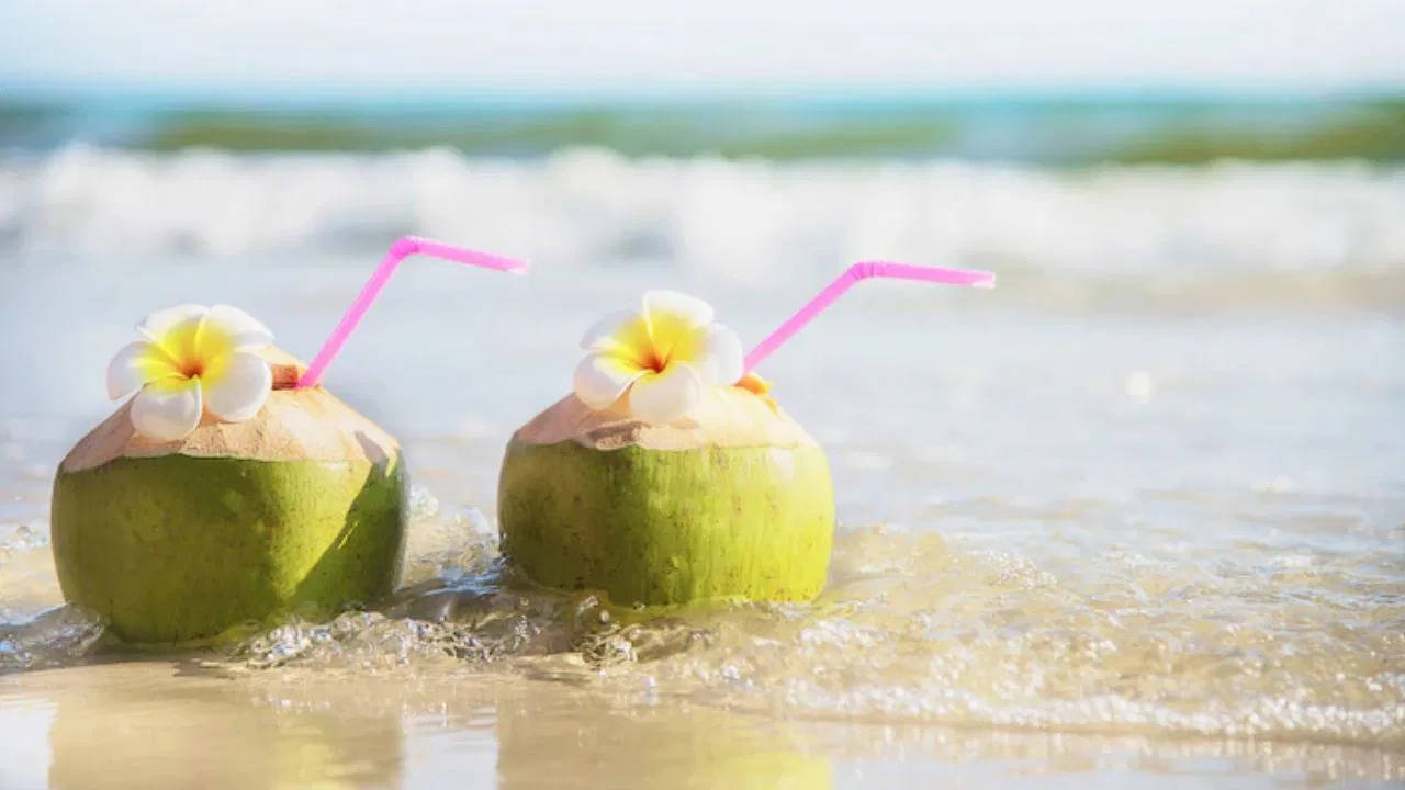 Health Tips- प्लास्टिक स्ट्रॉ से नारियल पानी पीने वाले हो जाएं सावधान, हो सकती हैं गंभीर बीमारी