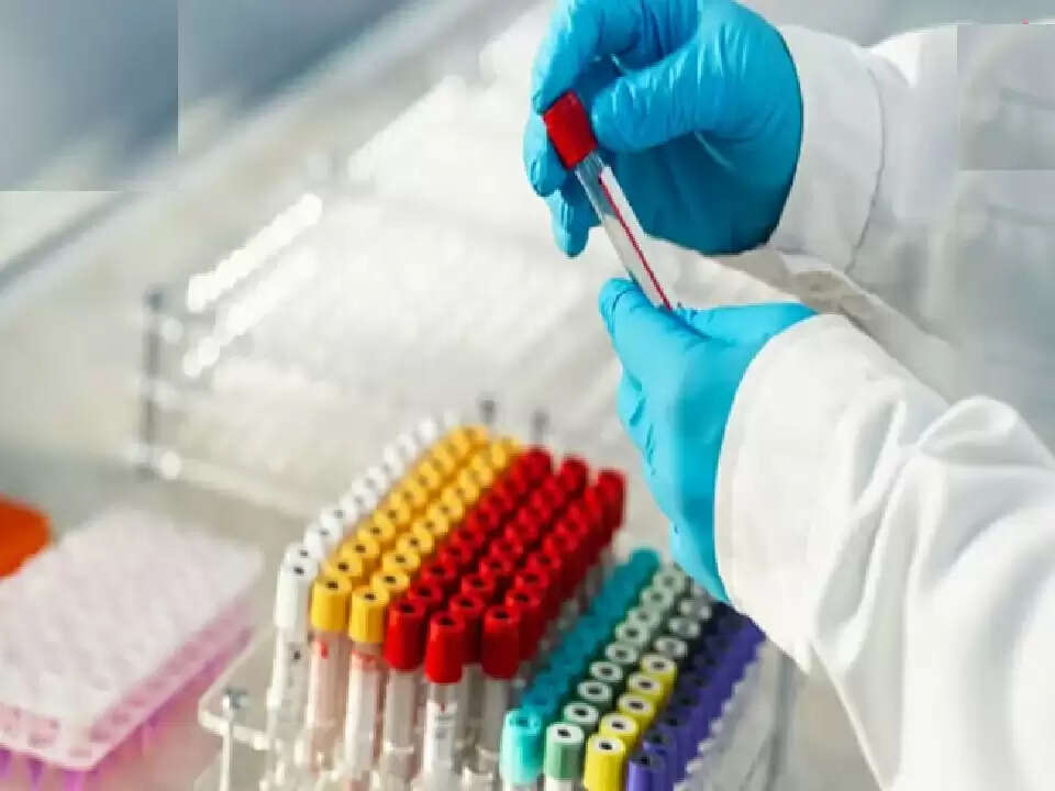 YY