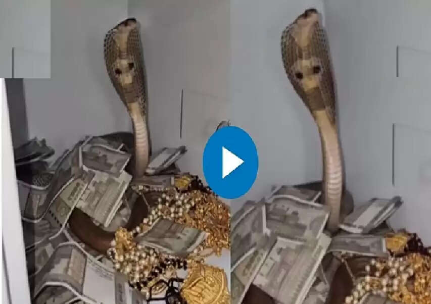 WW