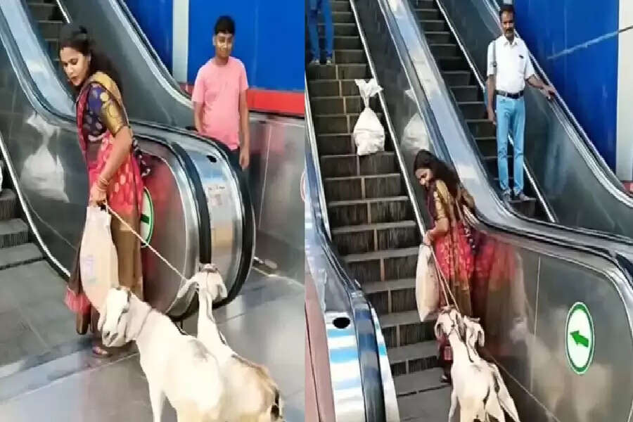 yy