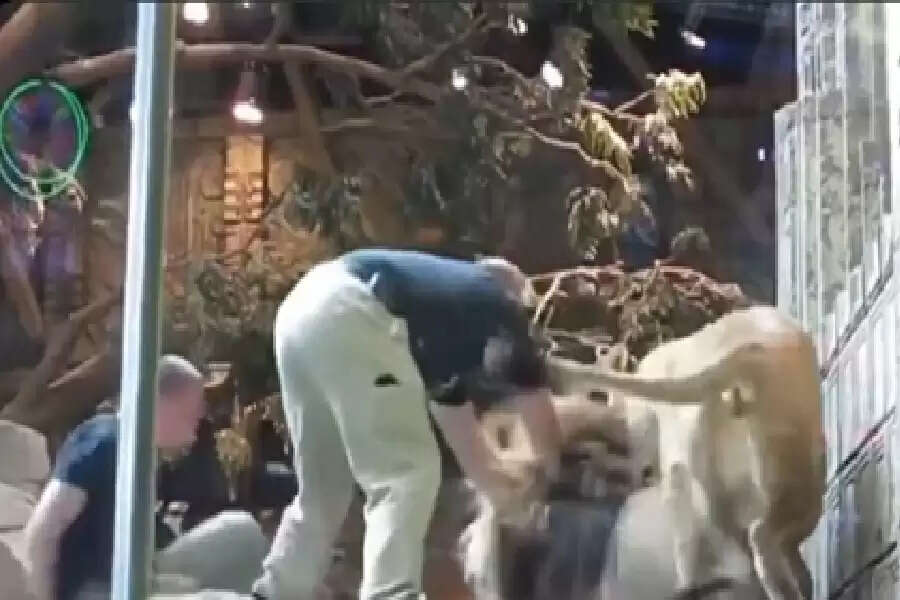 ss