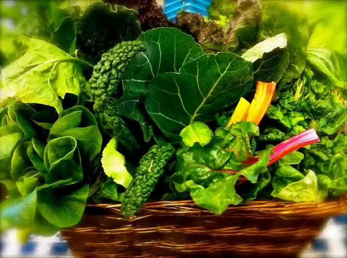 Health Tips- सर्दियों मे इन सब्जियों का सेवन करें ध्यान से, हो सकती हैं गंभीर बीमारी