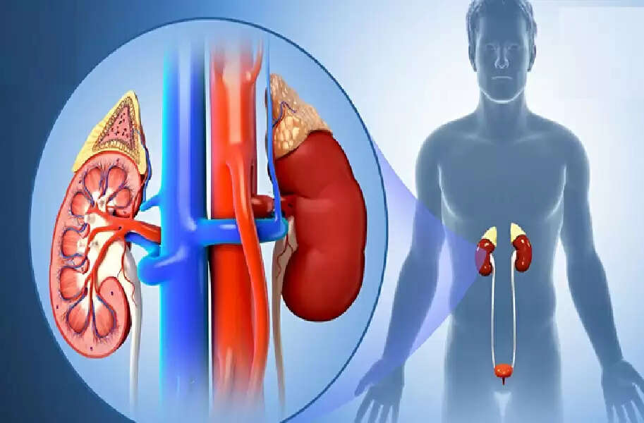 FF