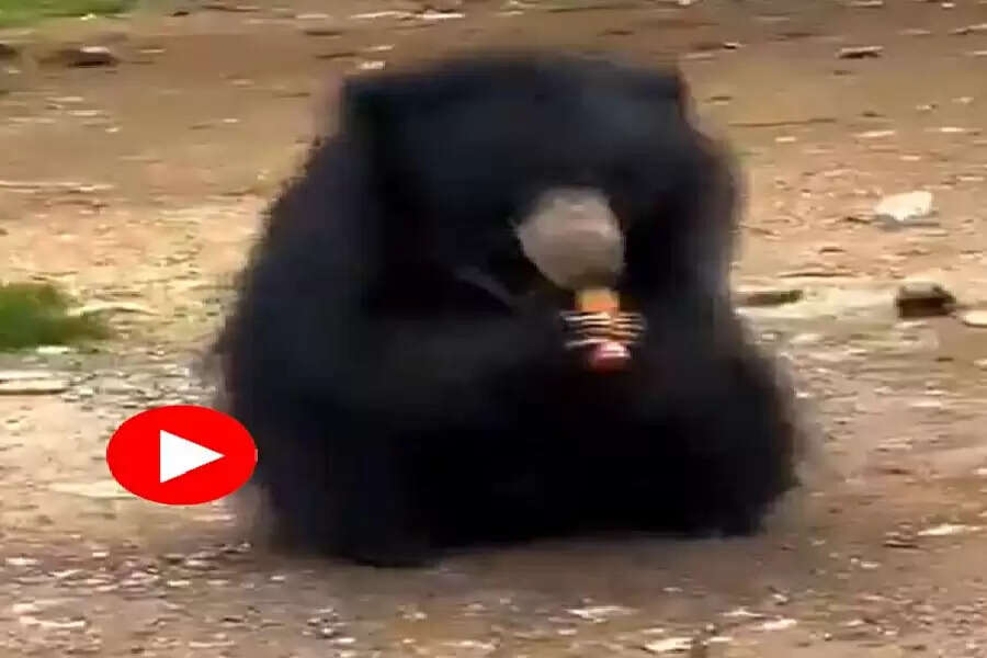 WW