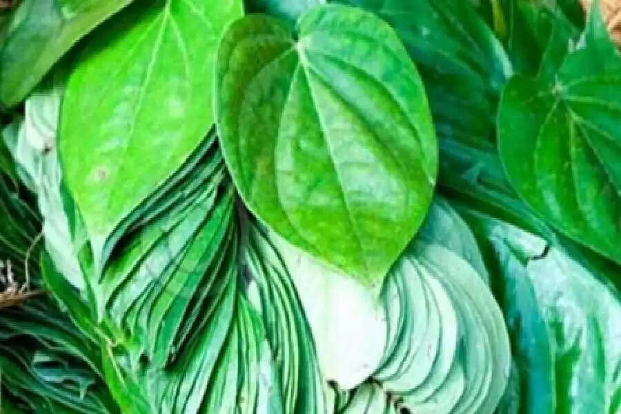 ss