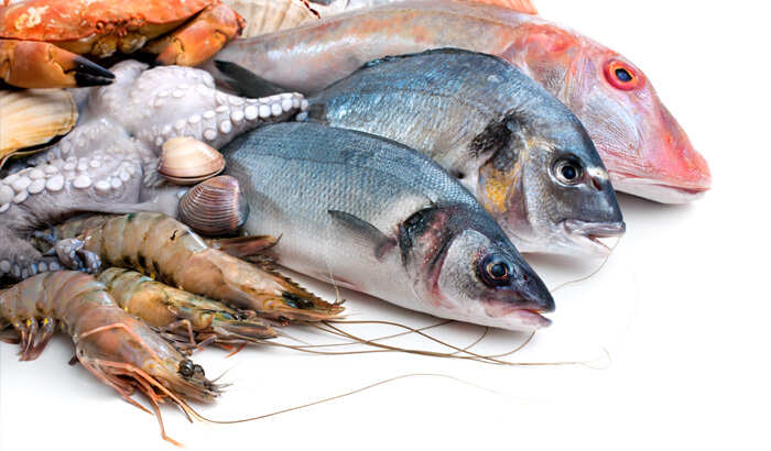 fish