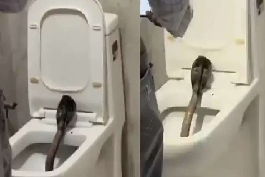 RR